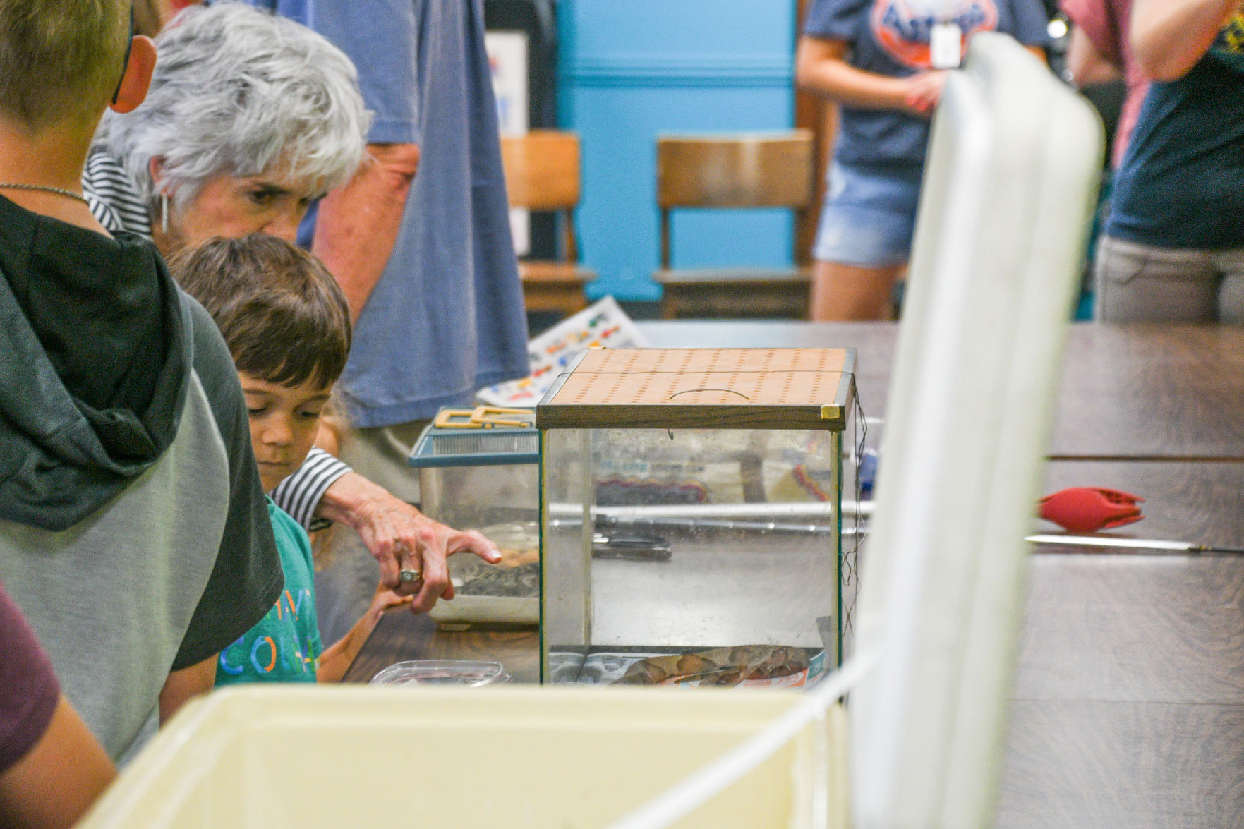 Snake Day at Clara B. Mounce Public Library